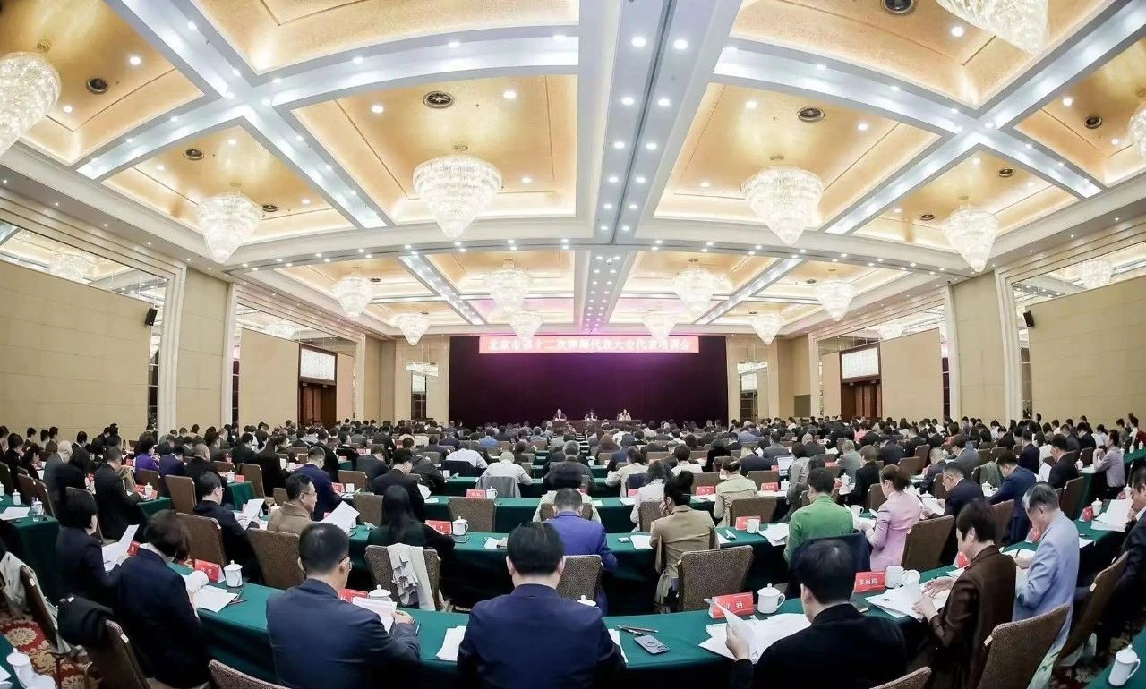 北京市律师协会召开第十二次律师代表大会培训会，董主任第五次当选为律师代表大会代表